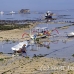 farming_seaweed_nlem_h_0714_bal4011.jpg